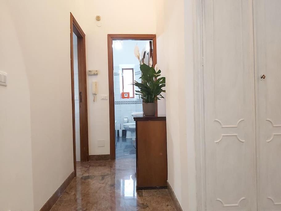 Appartamento Al Colosseo روما المظهر الخارجي الصورة